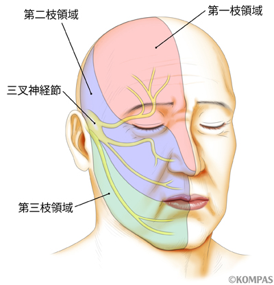 神経性・その他特殊な原因