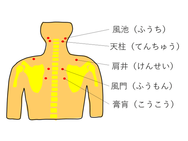 まとめ：置き針を日常に取り入れるためのステップ & 注意点