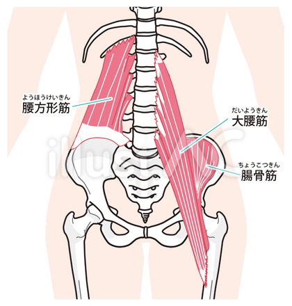 腰の冷えの主な原因①:血行不良と筋肉のこわばり