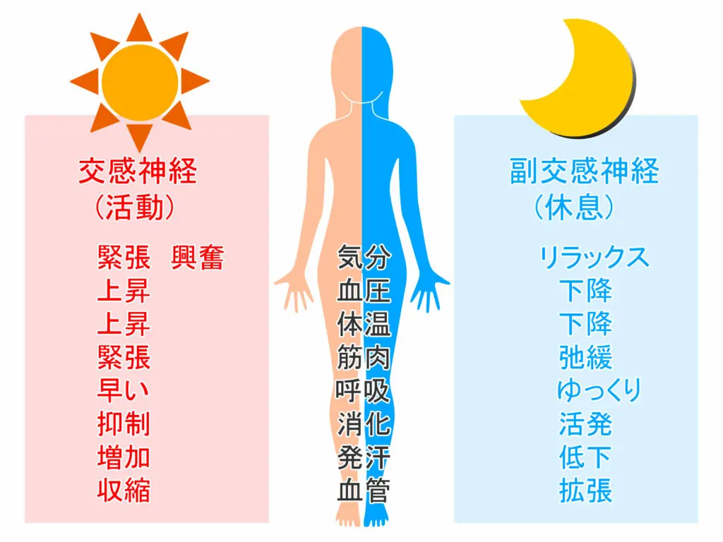 鍼治療が効きやすい人/効きにくい人の特徴と向き不向き