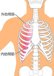 病院に行くべき?受診の目安と相談先