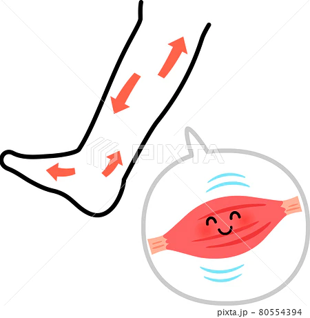 こむら返りが起こる原因とは