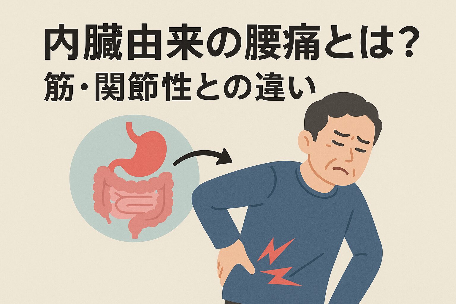 内臓由来の腰痛とは？筋・関節性との違い