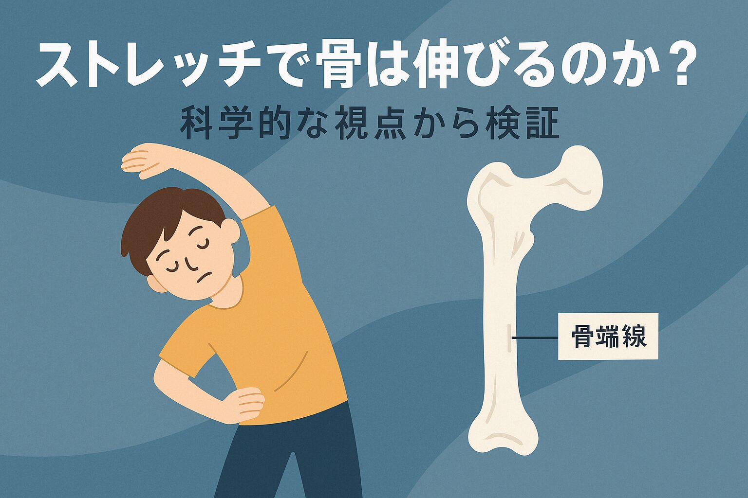 ストレッチで骨は伸びるのか？科学的な視点から検証
