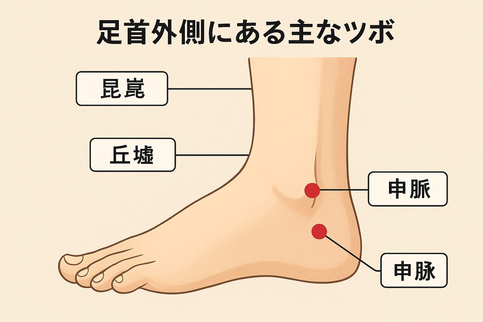 足首外側にある主なツボとその位置