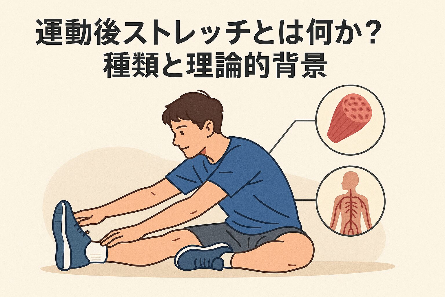 運動後ストレッチとは何か？種類と理論的背景