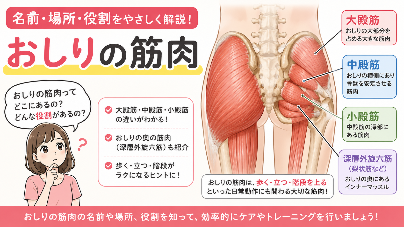 おしりの筋肉とは?名前・場所・役割をわかりやすく解説