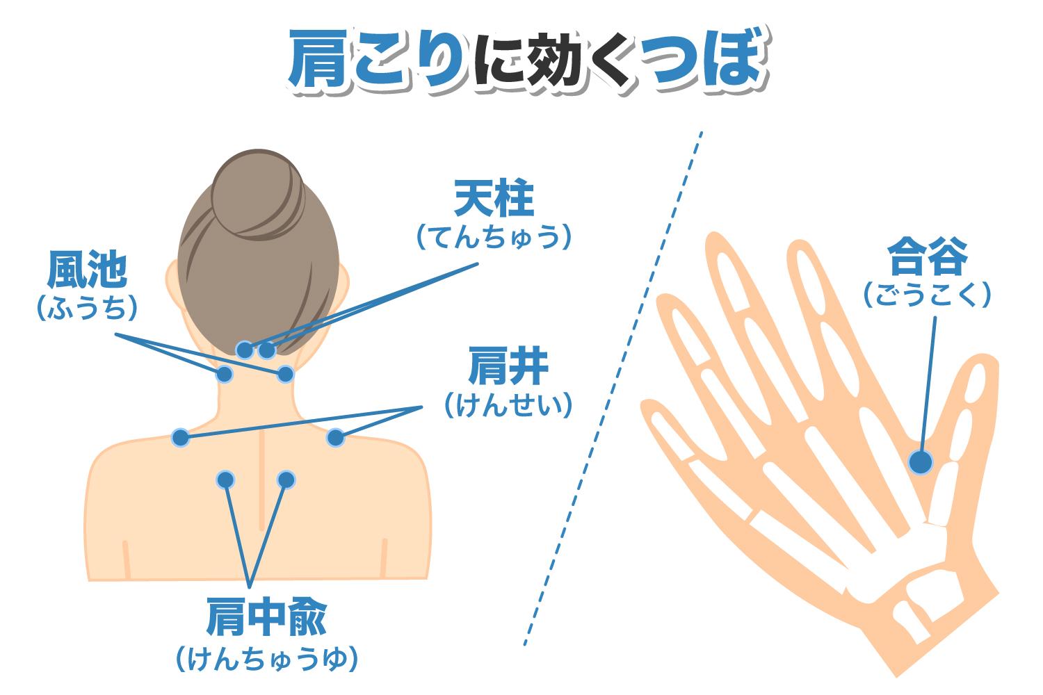 【図解】首のツボ一覧|場所がひと目でわかる