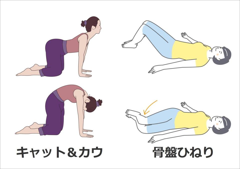 ヘルニアの予防と改善のためにできること