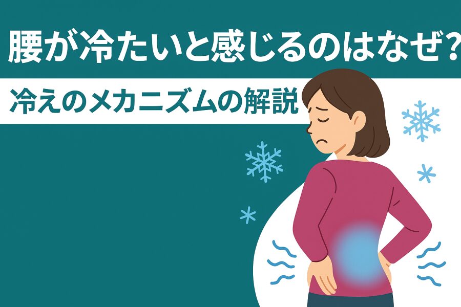 「腰が冷たい」と感じる人の特徴とチェックポイント