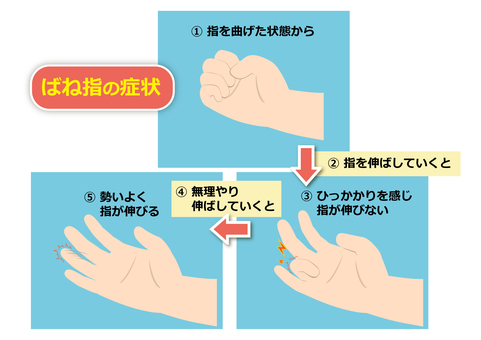 日中・夜間の過ごし方と治療を視野に入れた対策