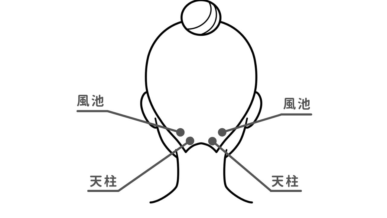 首のツボとは?効果と仕組みをわかりやすく解説
