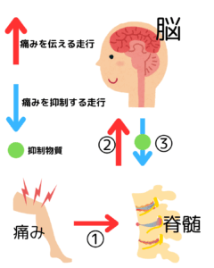 よくある質問(FAQ)