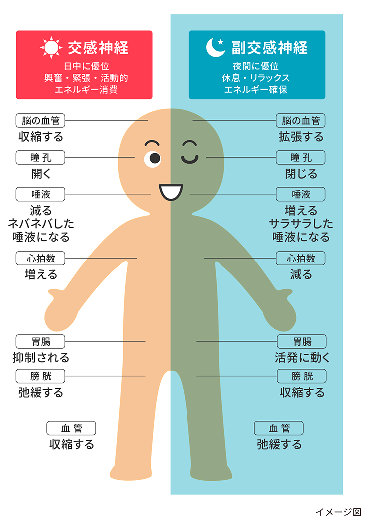 疲労が取れない主な原因【よくあるパターン】