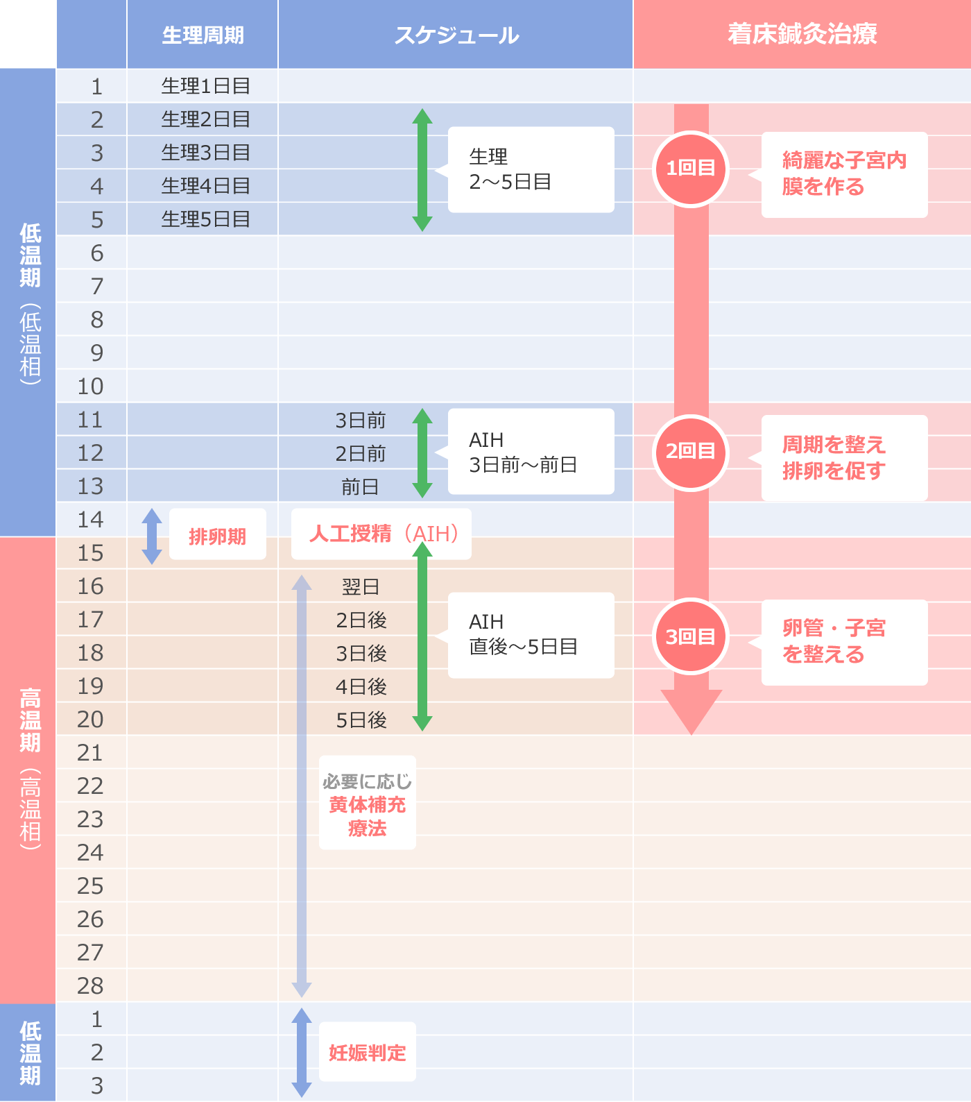 鍼灸を始める前に知っておきたい「通院頻度・タイミング・費用」