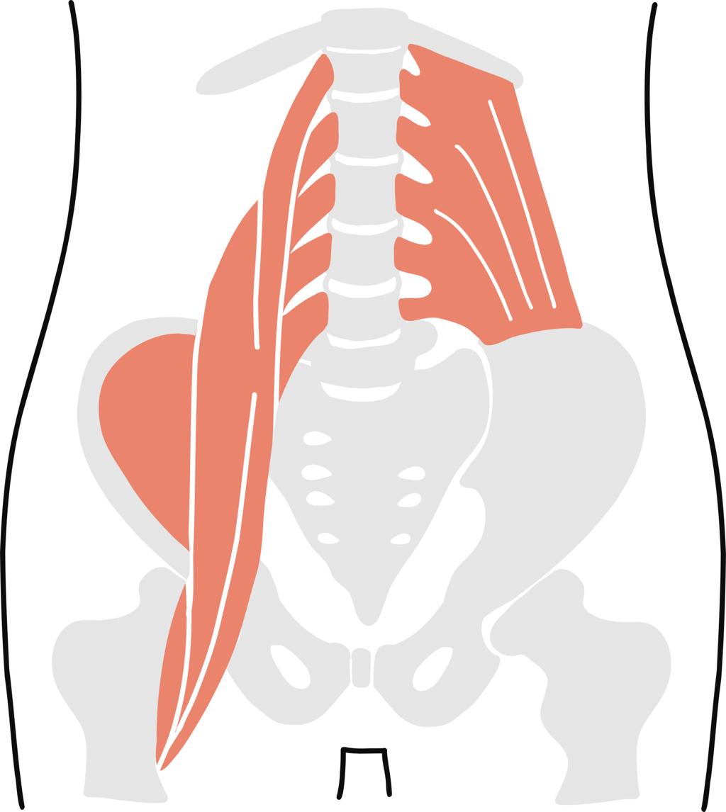 腰痛の鍼灸施術の流れ