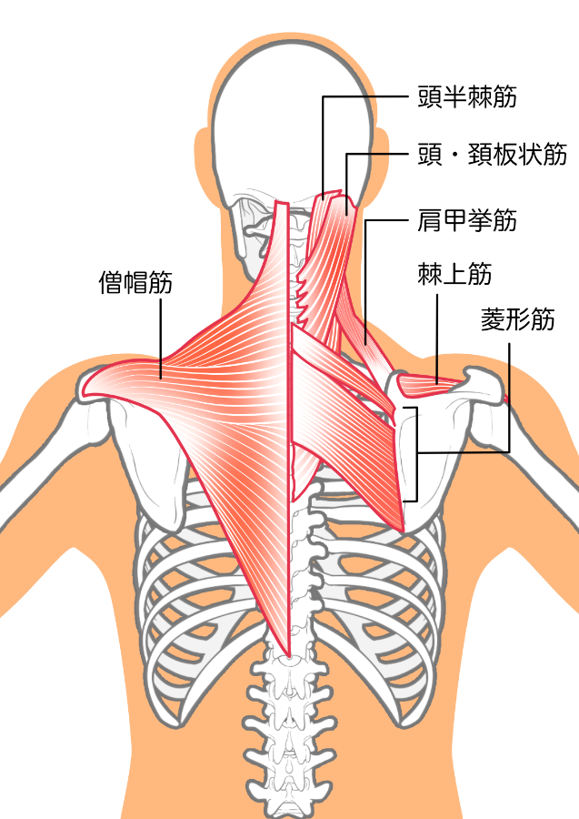 来院目安と危険サイン:いつ病院へ行くべきか?