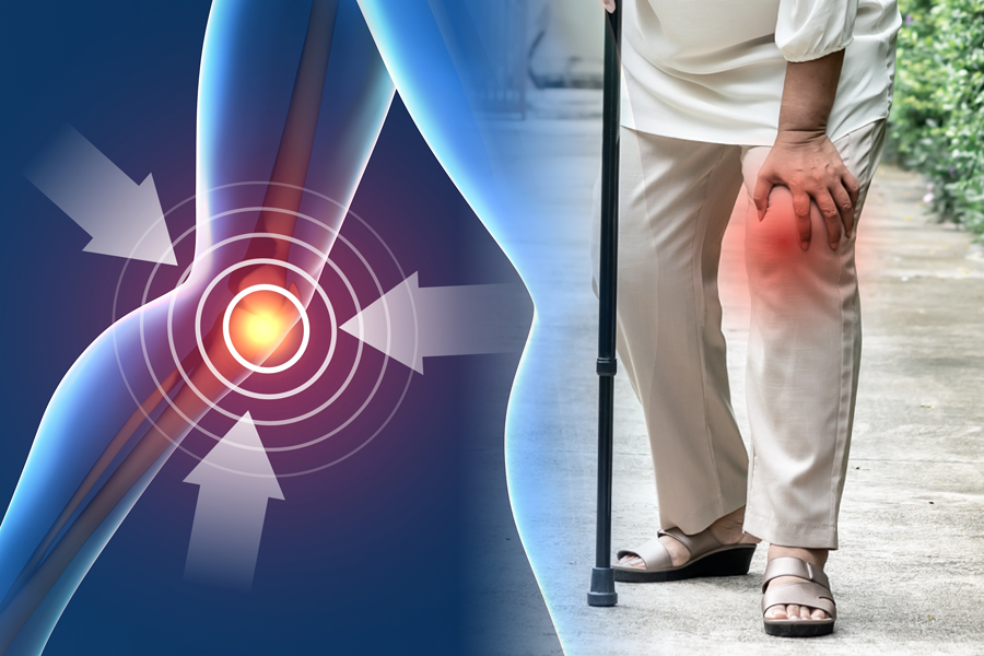 来院・触診基準と検査の流れ