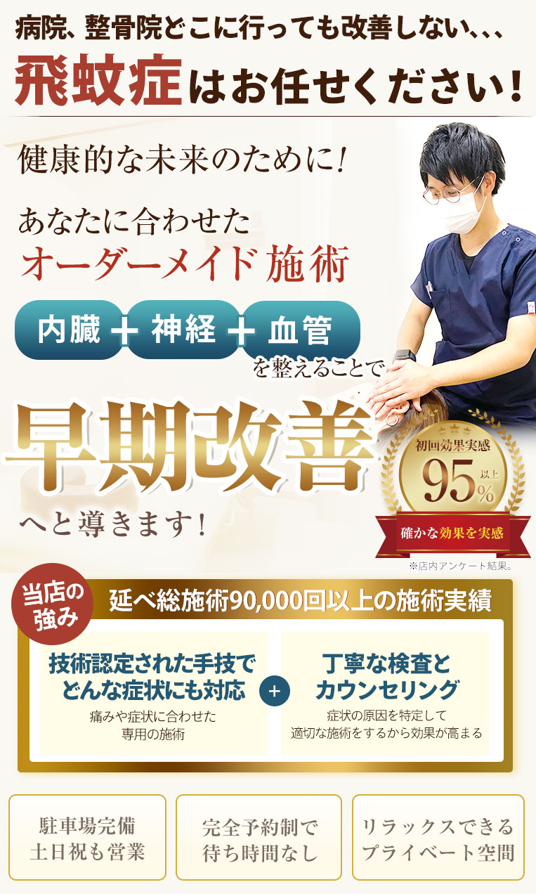 飛蚊症TOP