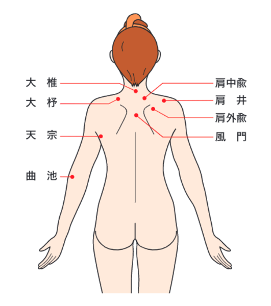 肩こりに効果的な貼る場所とツボ(貼付位置ガイド)