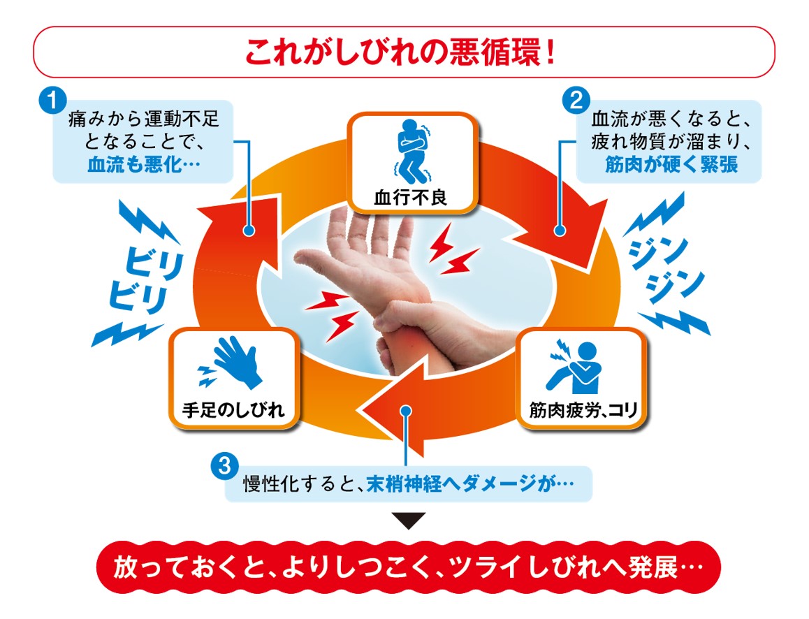 体のしびれの主な原因:神経・血行・生活習慣