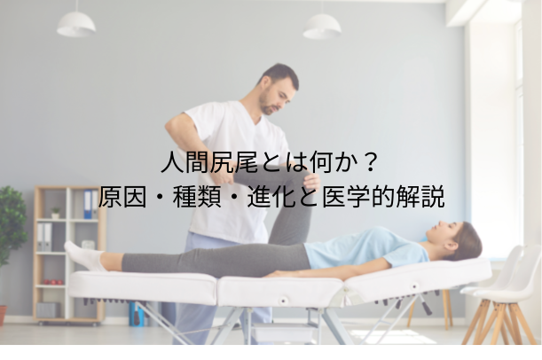 人間尻尾とは何か?原因・種類・進化と医学的解説