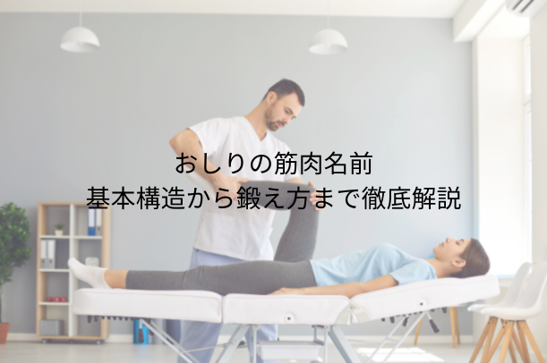 おしりの筋肉 名前：基本構造から鍛え方まで徹底解説