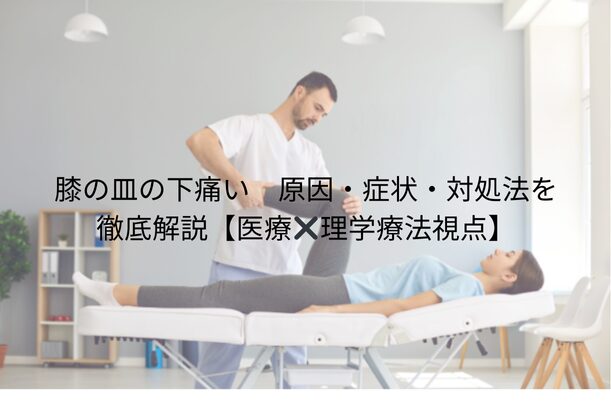膝の皿の下痛い|原因・症状・対処法を徹底解説【医療×理学療法視点】