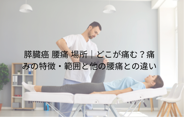 膵臓癌 腰痛 場所|どこが痛む?痛みの特徴・範囲と他の腰痛との違い