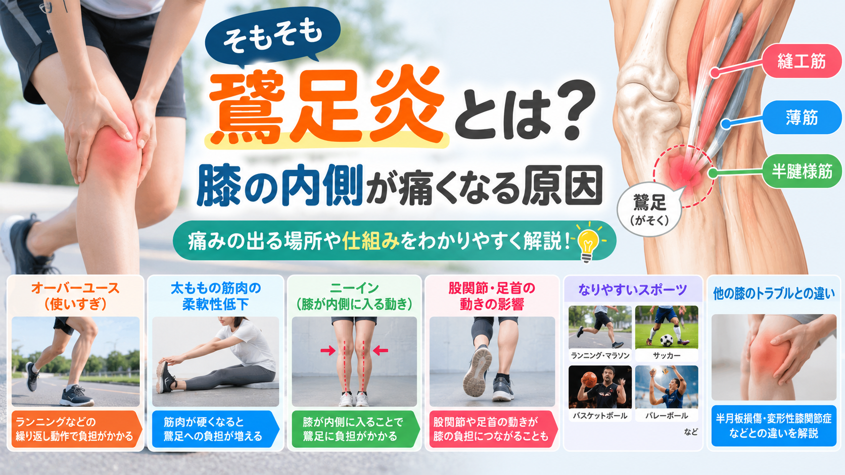 そもそも鵞足炎とは?膝の内側が痛くなる原因